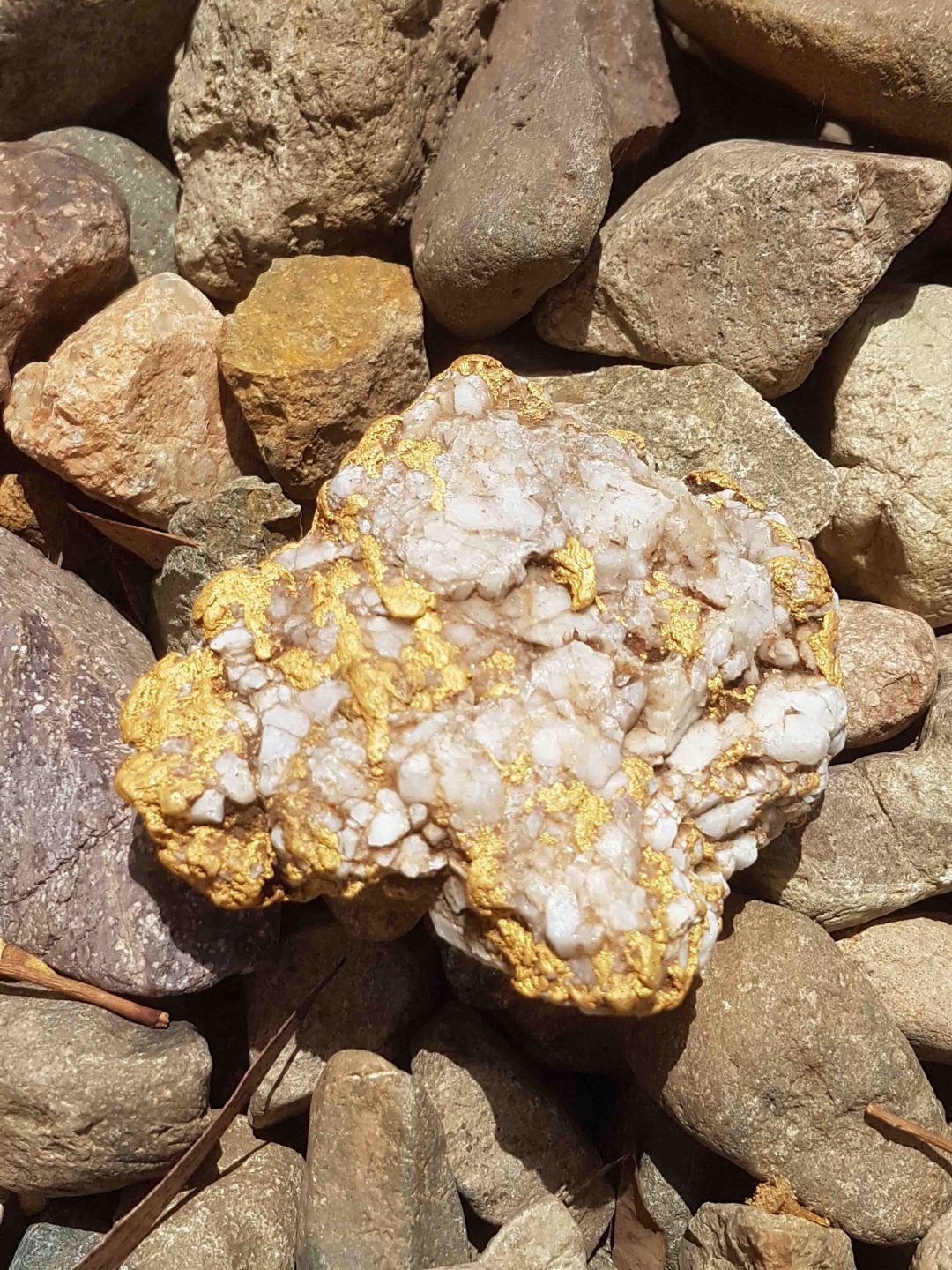 About Us Gold Nuggets Nugget Jewelry Gold Nugget Jewellery Gold