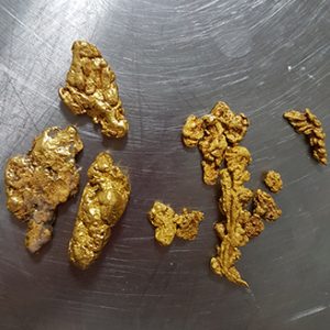 Gold Nuggets | Australian Gold Nuggets | Gold Nugget Specimens